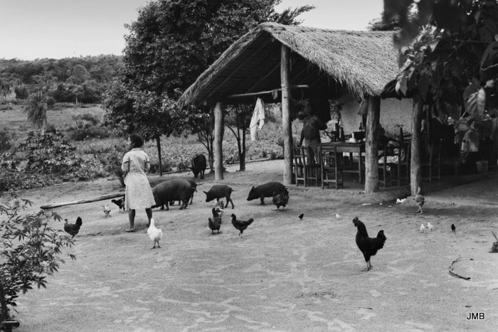 AÑO 1982 - BLANCO Y NEGRO - VIDA CAMPESINA EN PARAGUAY (JOSÉ MARÍA BLANCH)